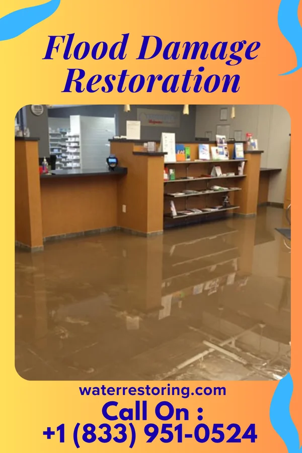 Flood Damage Restoration in Celeste, TX