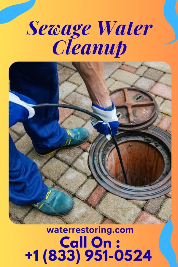 Sewage Water Cleanup in Celeste, TX