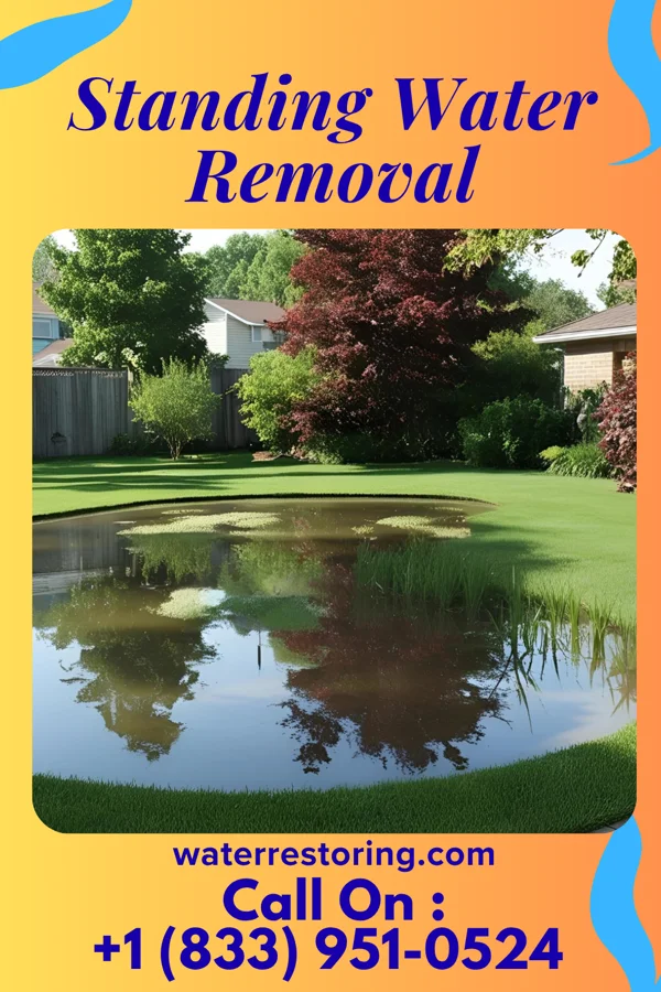 Standing Water Removal in Celeste, TX